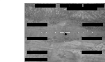 fbi-photo-a2.png preview