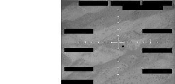 fbi-photo-a4.png preview