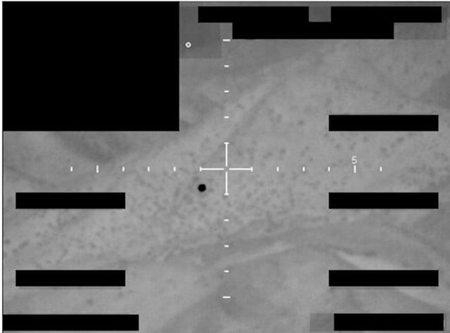 FBI photo A group - fbi-photo-a5.jpg